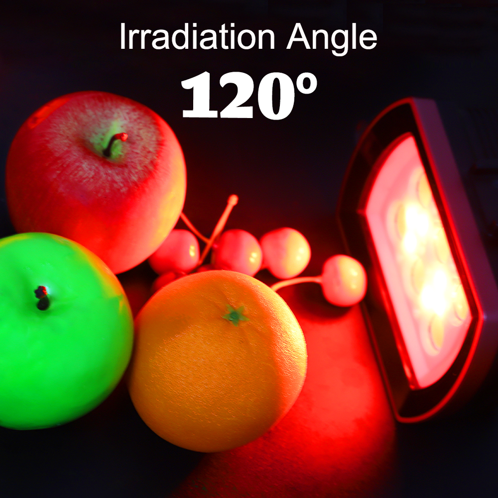 Seafrogs 40Meter Waterproof LE – Photography Lighting Brands recenzja i cena